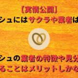 マリッシュにはサクラや業者はいる?特徴や見分け方を知るのはメリットしかない